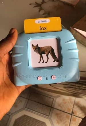 Rechargeable Educative Talking Flash Card Reader