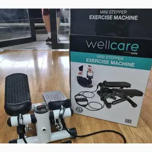 Mini Stepper Exercise Machine