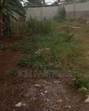 Half Plot With C of O in Secured Gated Close