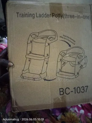 2 Way Kid Potty Ladder
