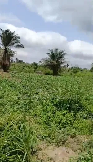 Distress Sale: 1 Acre of Land at Moniya, Ibadan
