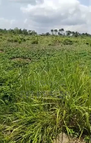 Premium Roadside Land Directly Along the Tarred Moniya-Iseyin, Ibadan.