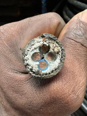 4x10mm Full Guage Amored Cable Heavy-Duty