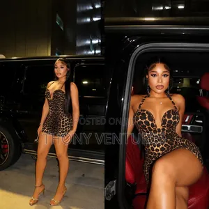 Sexy Animal Skin Mini Dress
