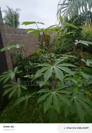 One and Half Plot at Umuobia Housing Estate, Umuahia. Fenced and Gated