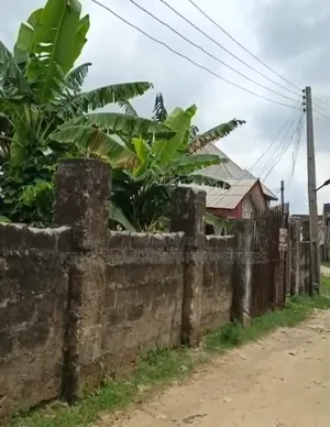 Dyr Table Land of 100 by 50 for Sale at Osubi Not Far From Tared Road