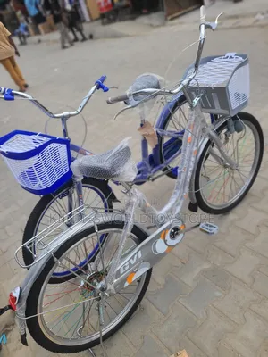 Luxury Standard Bicycle