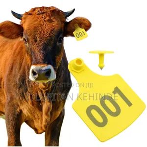 Cow Ear Tag 103*75mm