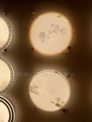 Cieling Fitting Led Light