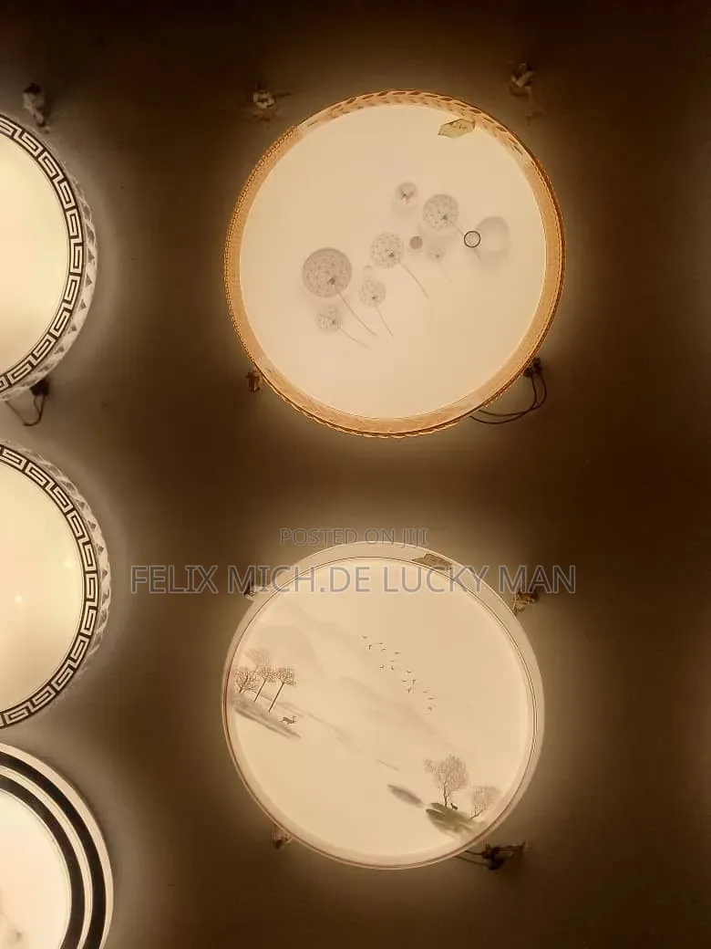 Cieling Fitting Led Light