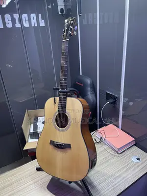 Semi Acoustic Guitar
