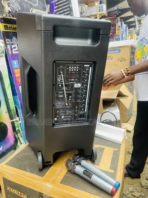 Professional Account Pa System