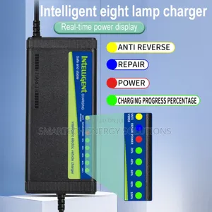 48v 6a Lithium Smart Battery Charger (8lamp Display) For Electric Cars