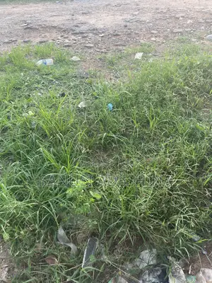 2.2 Hectares of Hospital Land at Galadimawa Abuja Nigeria