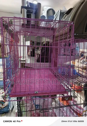 Dog Cages Are Available