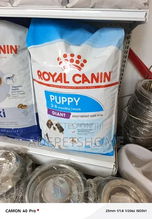 Royal Canin Cat Food