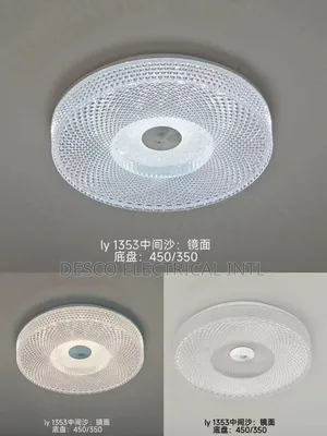 Ceiling Light