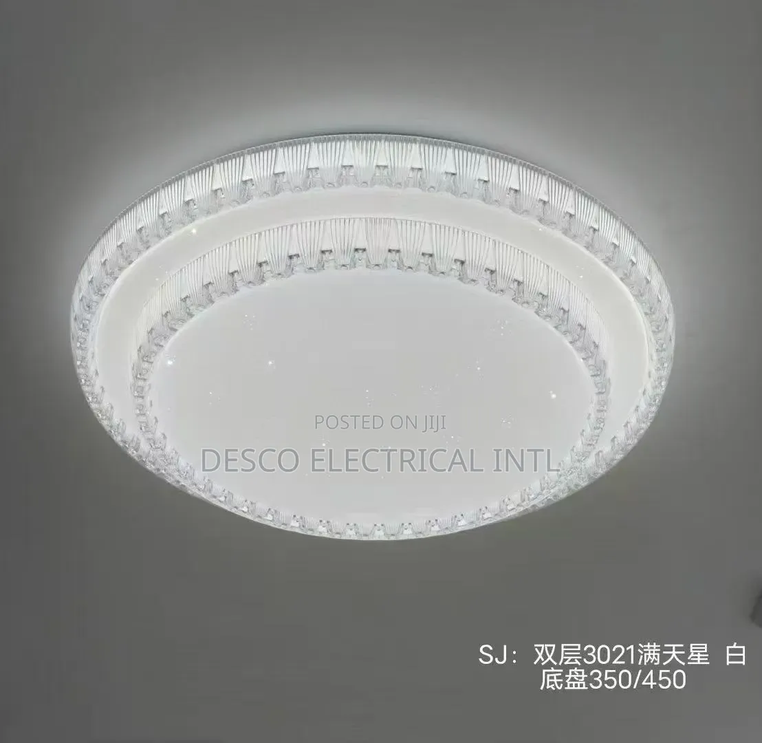 Ceiling Light