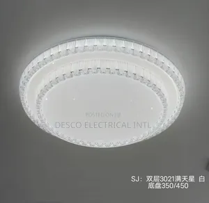Ceiling Light