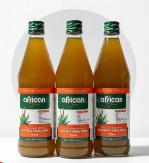 African Gem Aloe Ferox