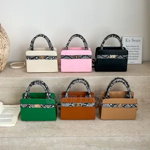 Elegant Mini Handbags Collection