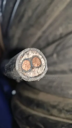16mm 2core Armoured Cable