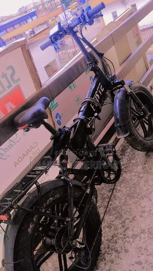 Foldable Electric Bike Bicycle Big Tyres