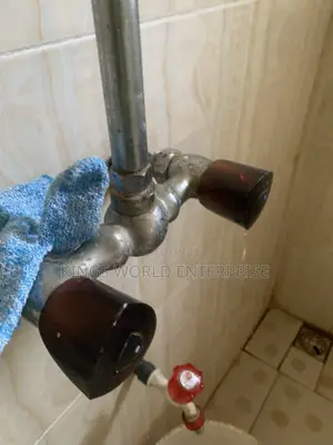 Plumber and Maintenance