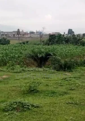 4 Hectares Industrial Land at Wasa