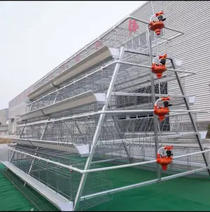 Fully Automatic Farm Poultry Farming Layer Farmer