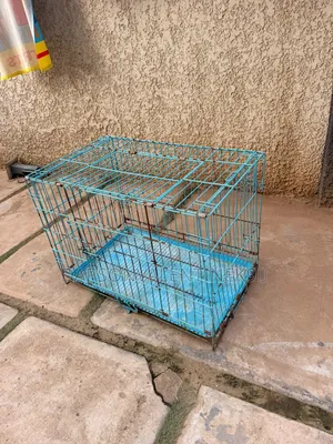 Collapsible Cage