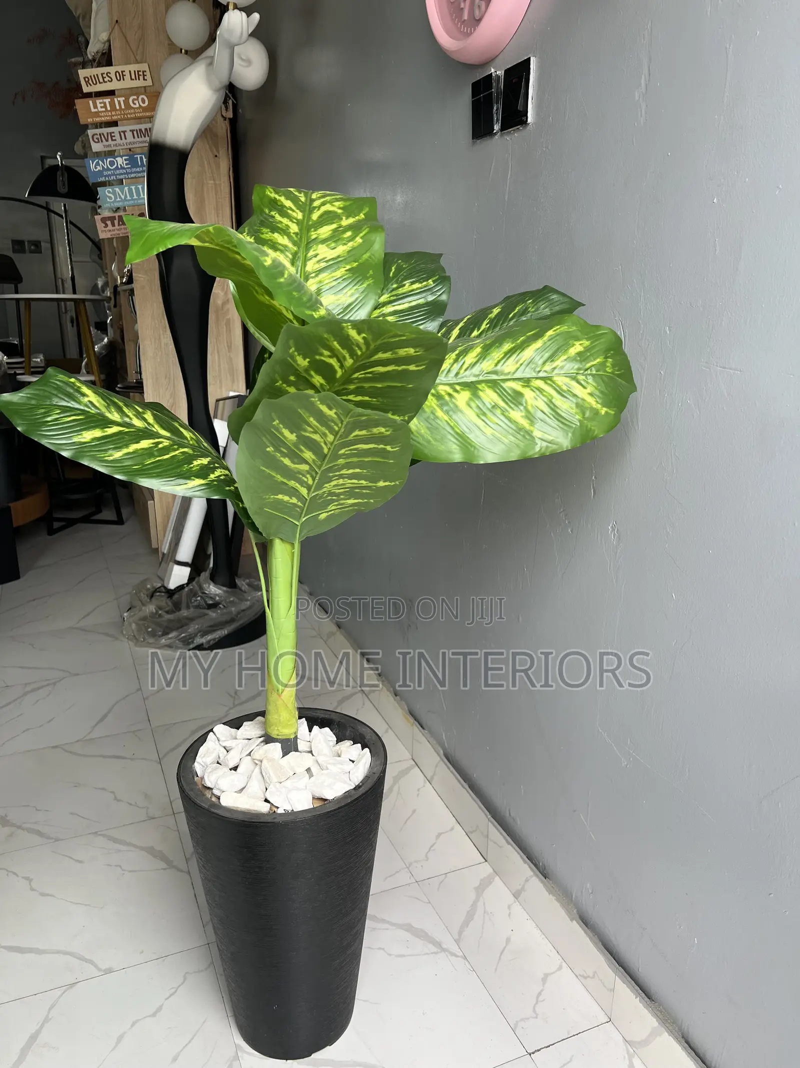 Black Planter With Flower