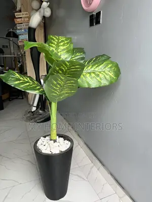 Black Planter With Flower