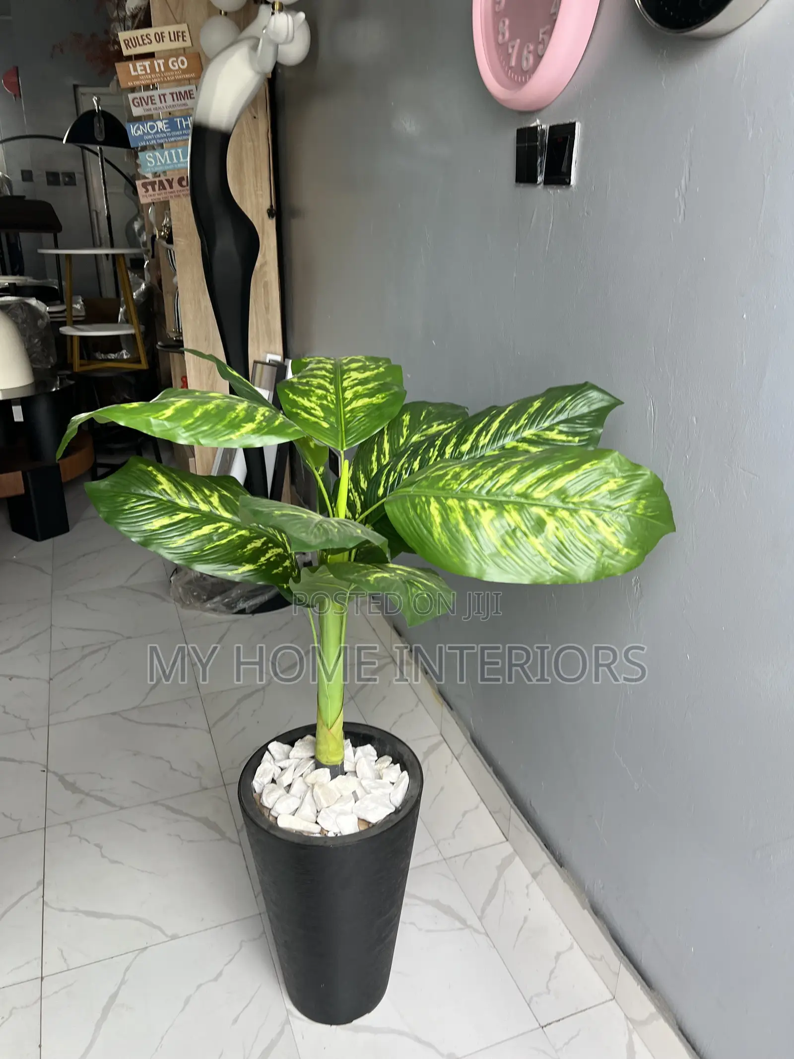 Black Planter With Flower