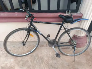 Bicycle 700