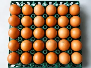 1 Crate of Egg