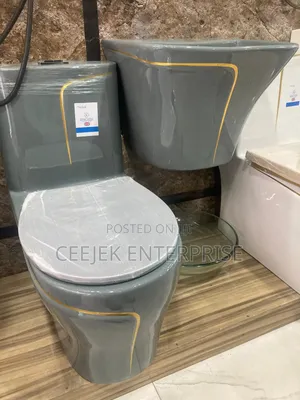 Luxury Water Closet With Wall Hung Basin