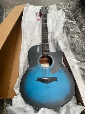 Rosen Semi Acoustic Guitar