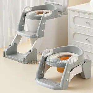 2 Way Kid Potty Ladder