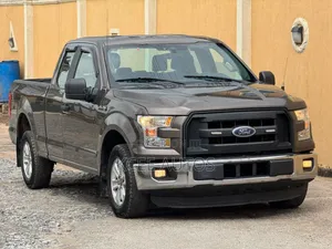 Ford F-150 2015 Gray