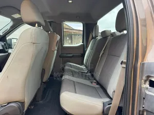 Ford F-150 2015 Gray