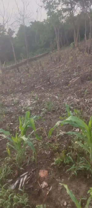 For Sale: Plots of Land, Off Akala Expressway, Ibadan, Oyo State