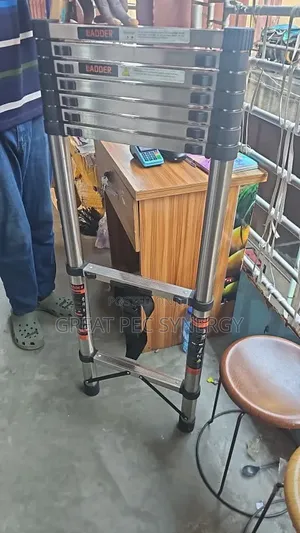 2.7m Telescopic Ladder