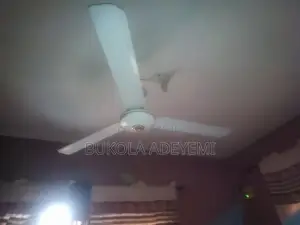 Ceiling Fan