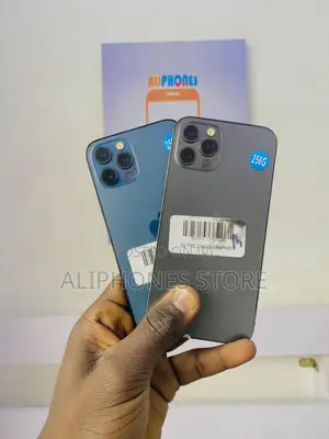 Apple iPhone 12 Pro Max 256 GB Blue