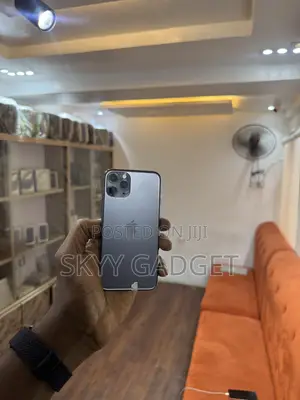 Apple iPhone 11 Pro 256 GB Gray