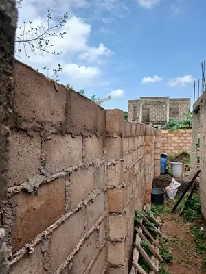 Premium Concertina Razor Wire for Maximum Security