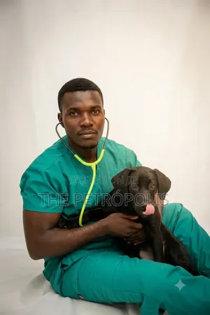 Dog Vet Services Near Me