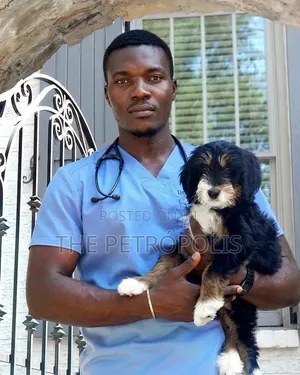 Grooming Services in Lagos