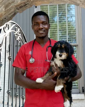 Grooming Services in Lagos